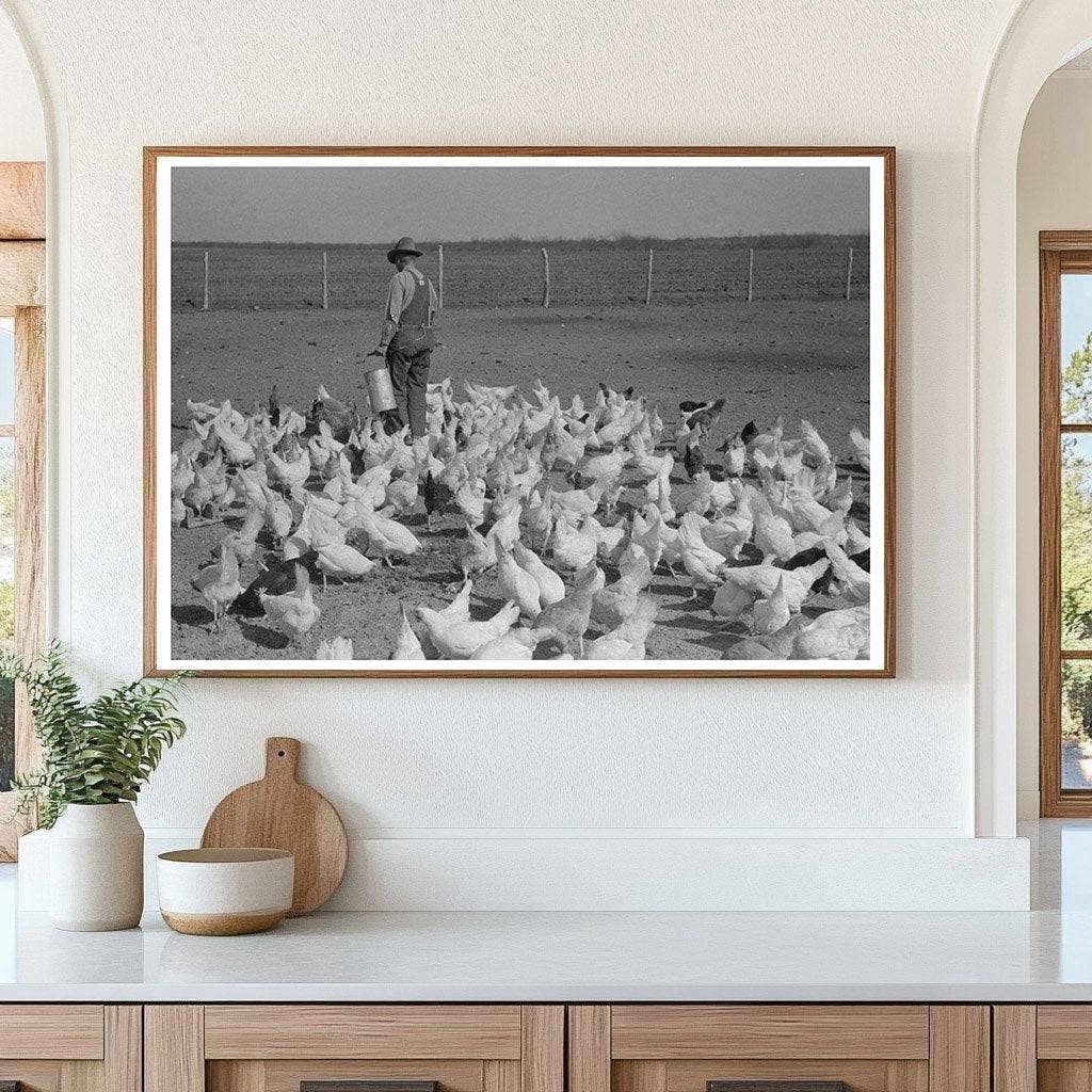 Ernest Milton Feeding Chickens El Indio Texas March 1939