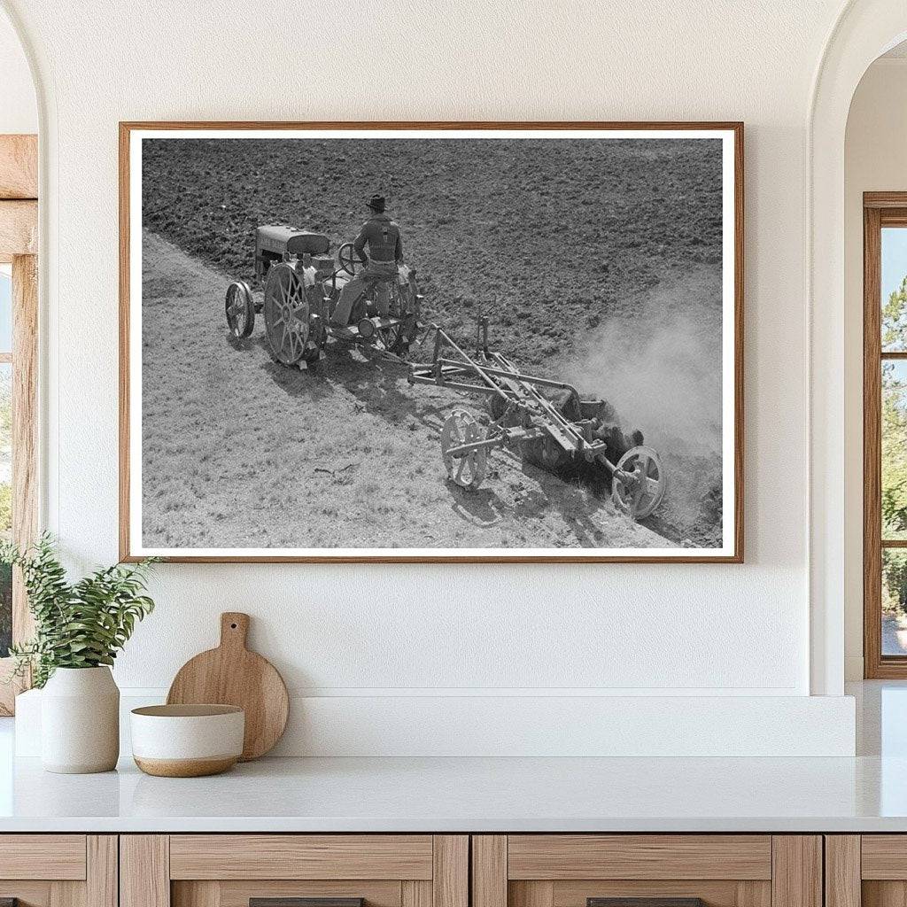 Breaking Virgin Soil with Tractor in El Indio Texas 1939