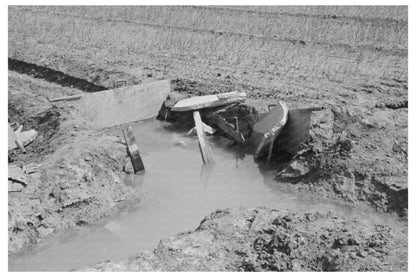 Irrigation Practices in Onion Fields Eagle Pass Texas 1939