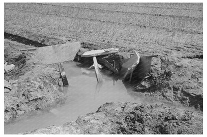 Irrigation in Onion Fields Eagle Pass Texas 1939