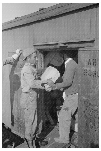 Icing a Refrigerator Car in La Pryor Texas 1939