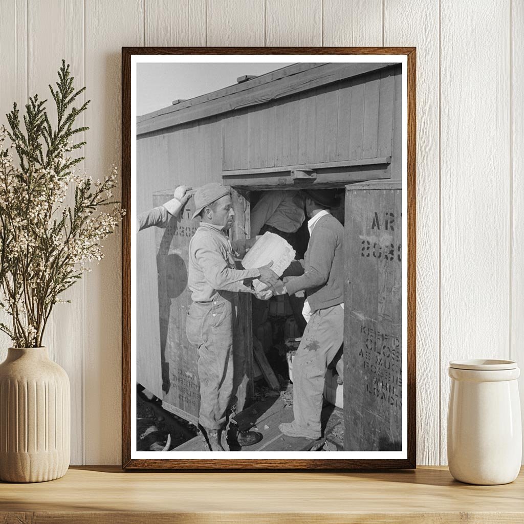 Icing a Refrigerator Car in La Pryor Texas 1939