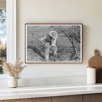 Clearing Mesquite Trees in El Indio Texas March 1939