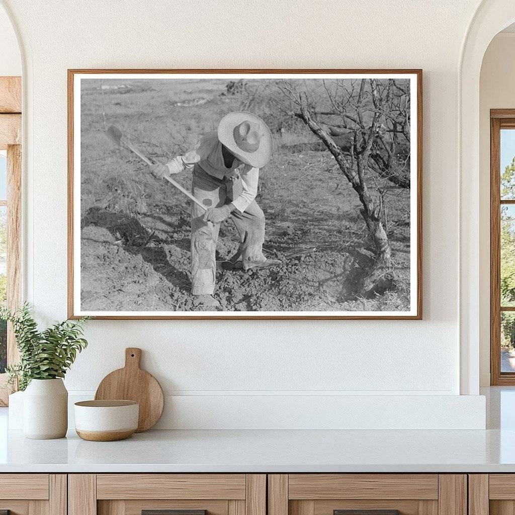 Clearing Mesquite Trees in El Indio Texas March 1939