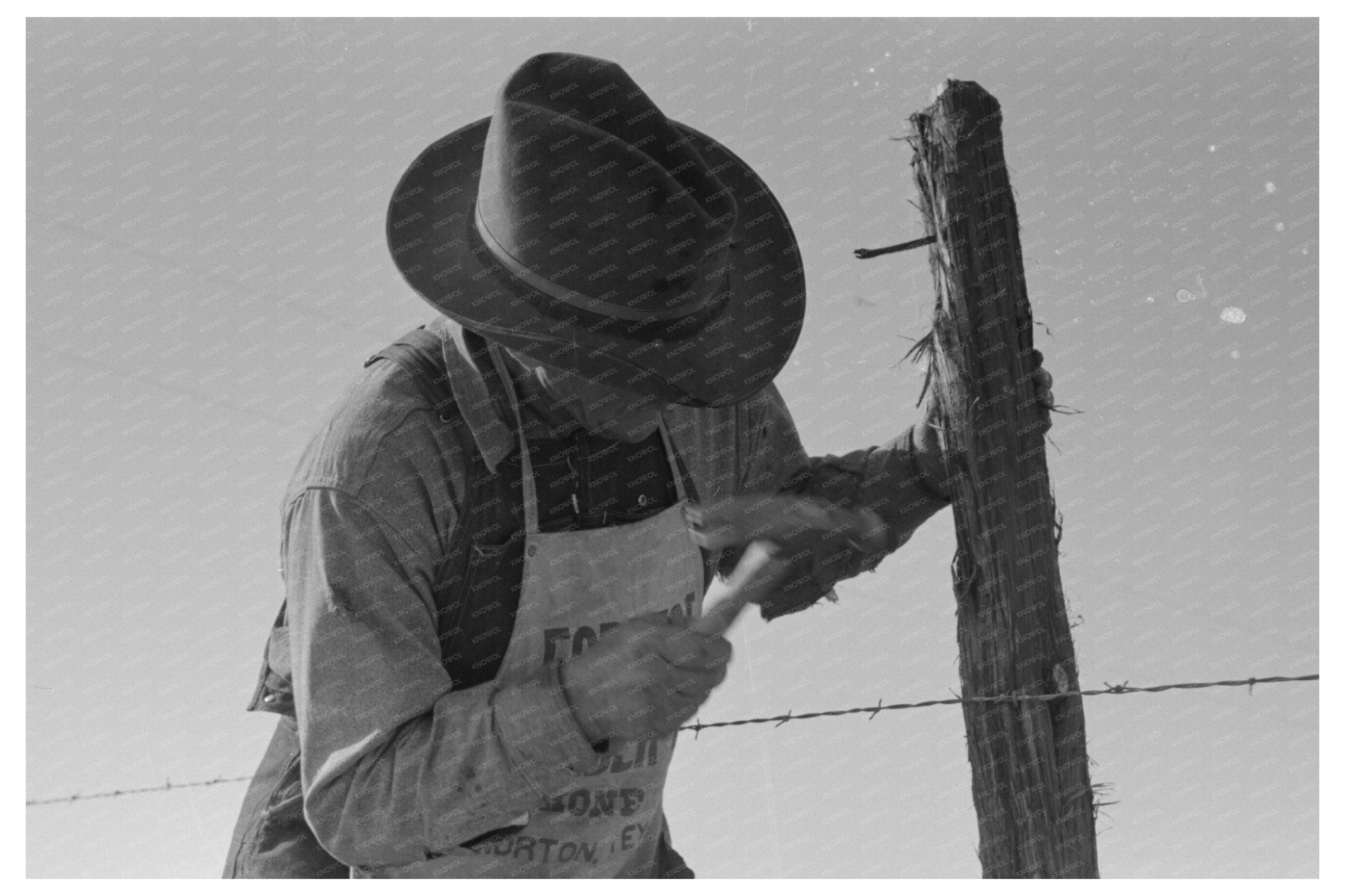 Barbed Wire Fence Installation at Milton Farm Texas 1939