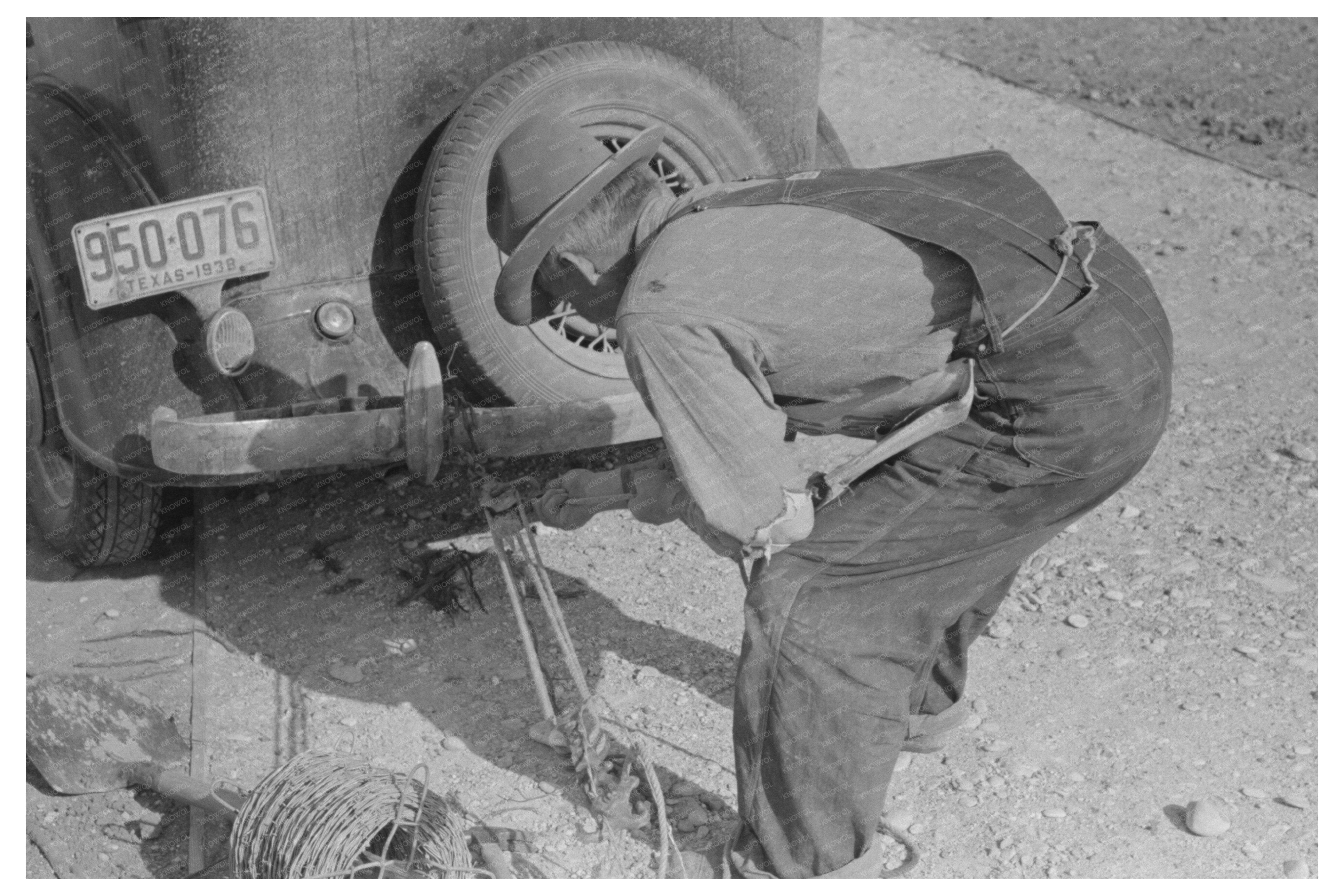 Barbed Wire Stretching Technique in El Indio Texas 1939