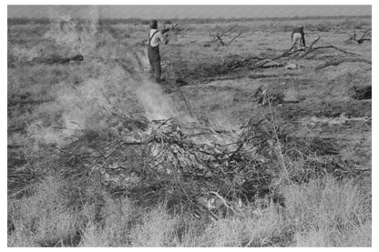 Mesquite Burning for Land Clearing El Indio Texas March 1939