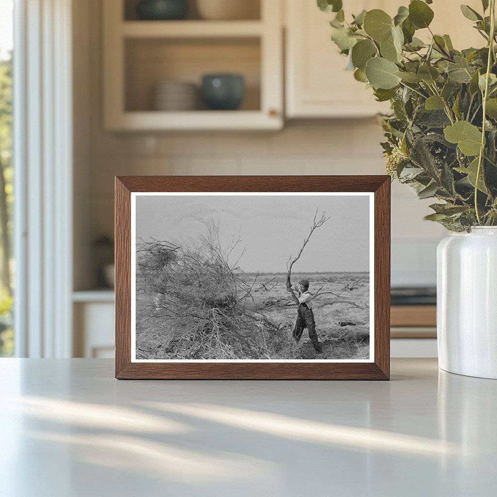 Mesquite Piling for Land Clearing El Indio Texas 1939