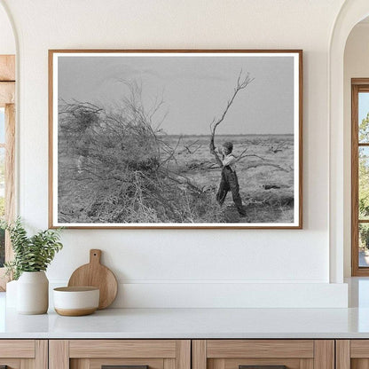 Mesquite Piling for Land Clearing El Indio Texas 1939