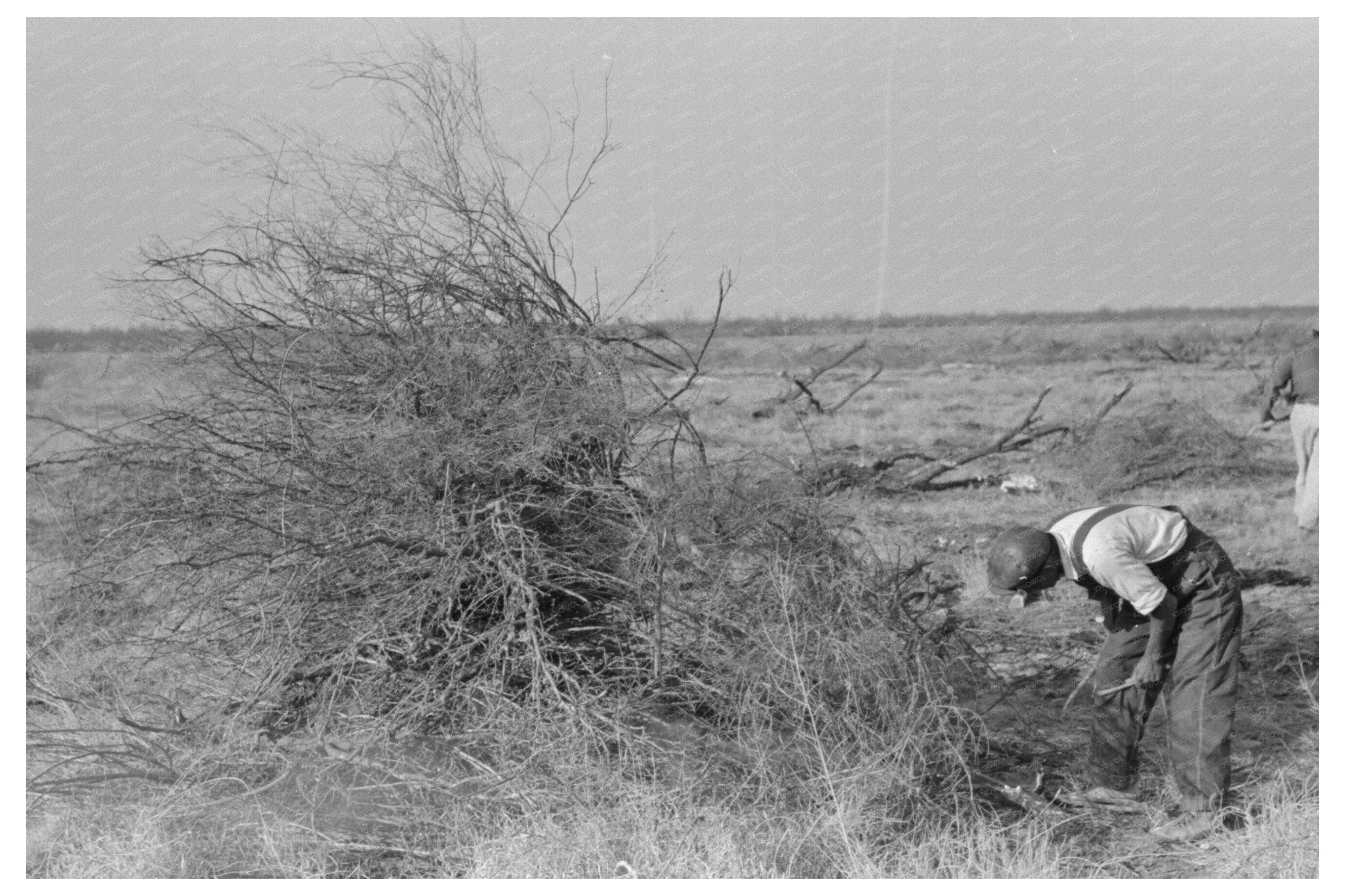 Mesquite Burning in El Indio Texas 1939