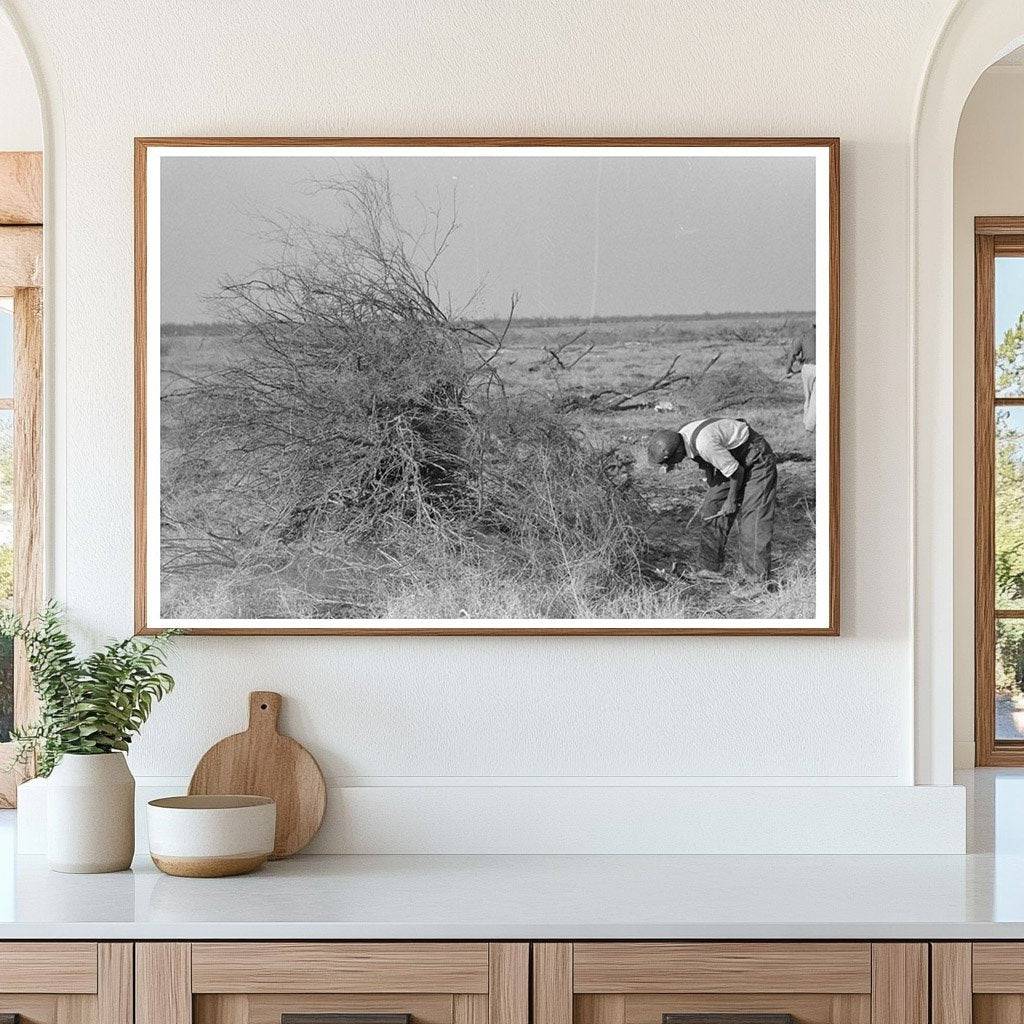 Mesquite Burning in El Indio Texas 1939