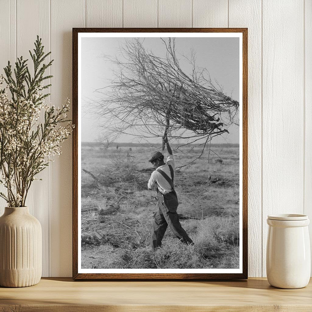 Mesquite Harvesting for Land Clearing El Indio Texas 1939