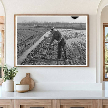 Irrigation in El Indio Texas March 1939 Vintage Photo