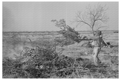 Land Clearing in El Indio Texas March 1939