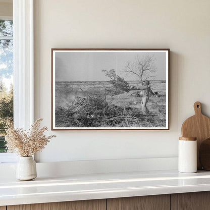 Land Clearing in El Indio Texas March 1939