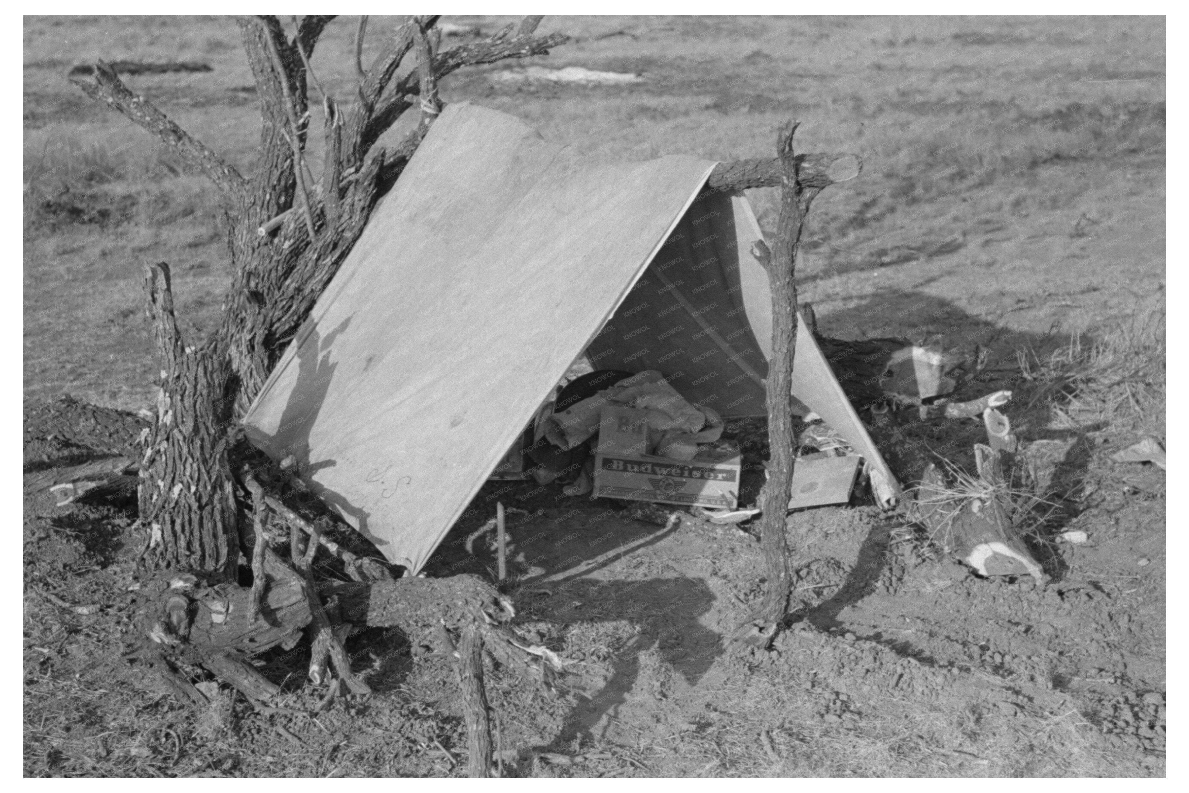 Home of a Mexican Land Grubber El Indio Texas 1939