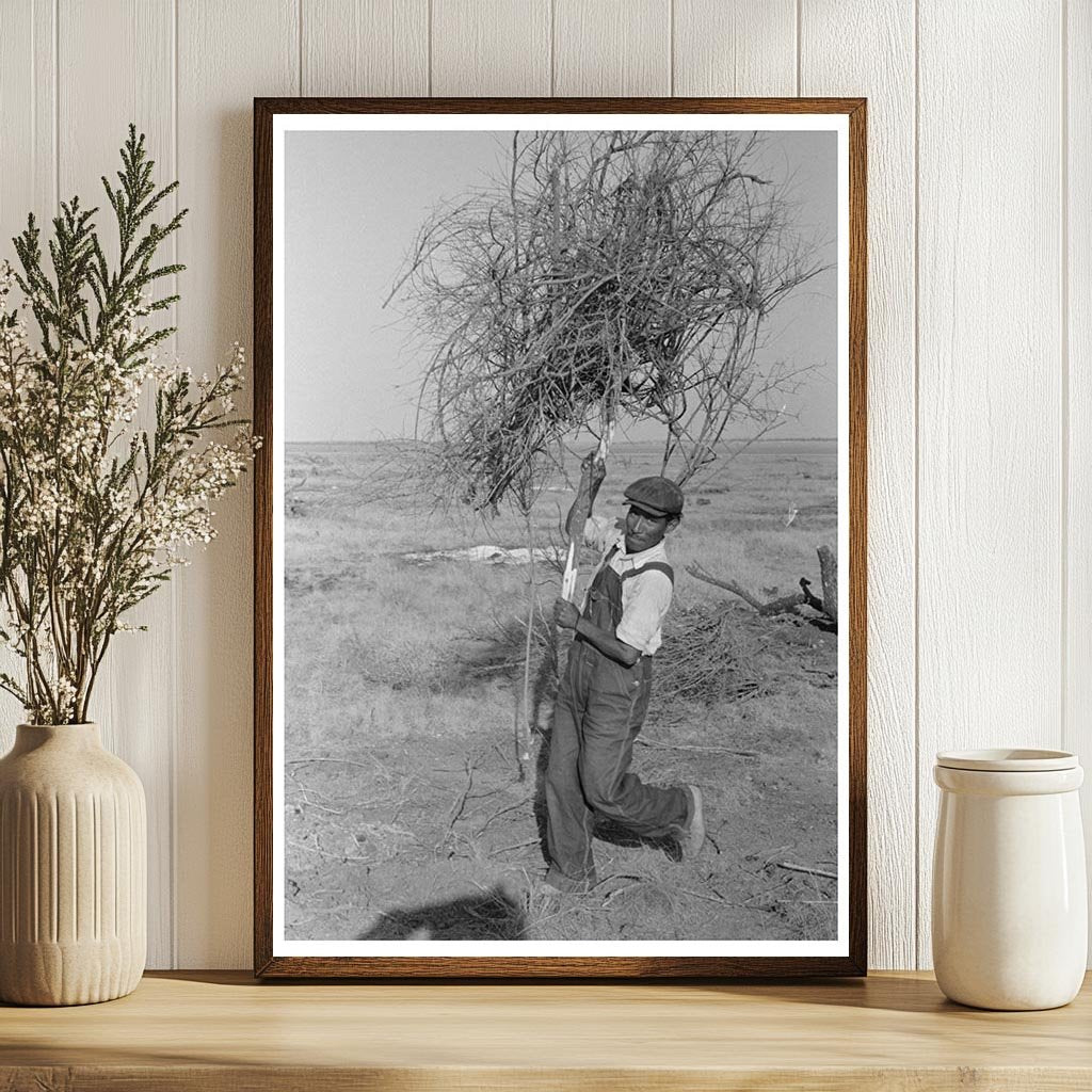 Land Clearing in El Indio Texas March 1939 Vintage Image