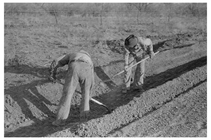 Irrigation Scene in El Indio Texas March 1939