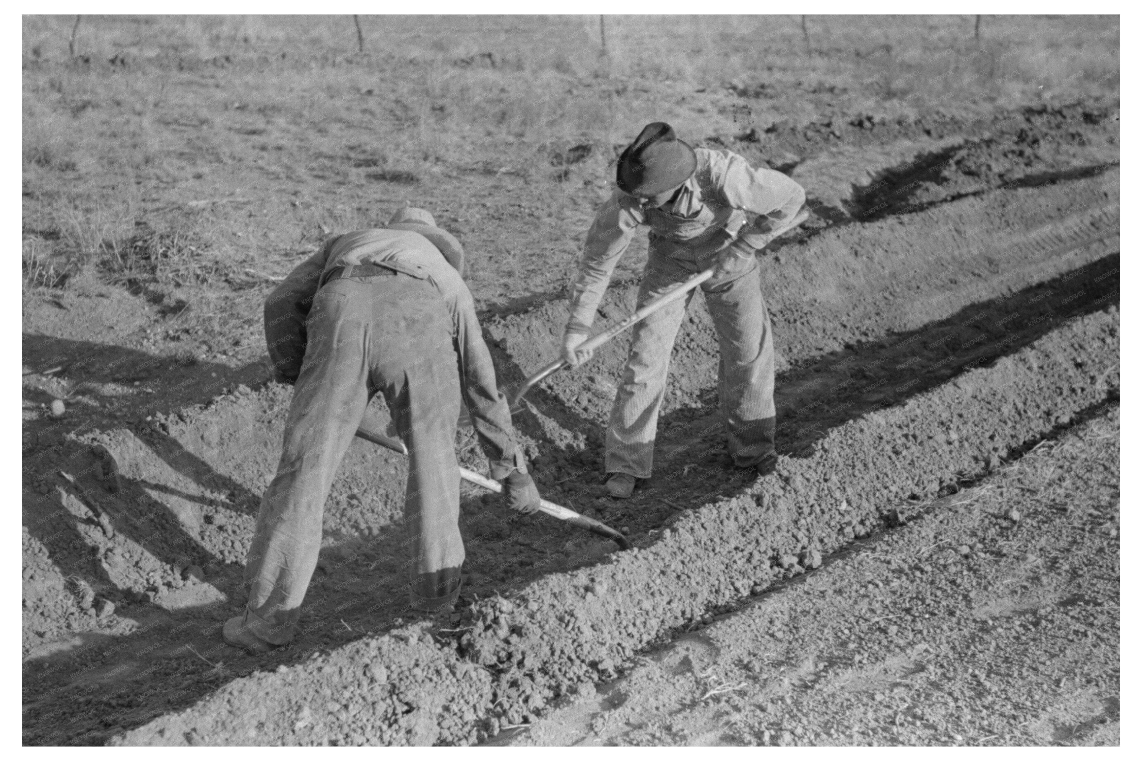 El Indio Texas Irrigation Practices March 1939