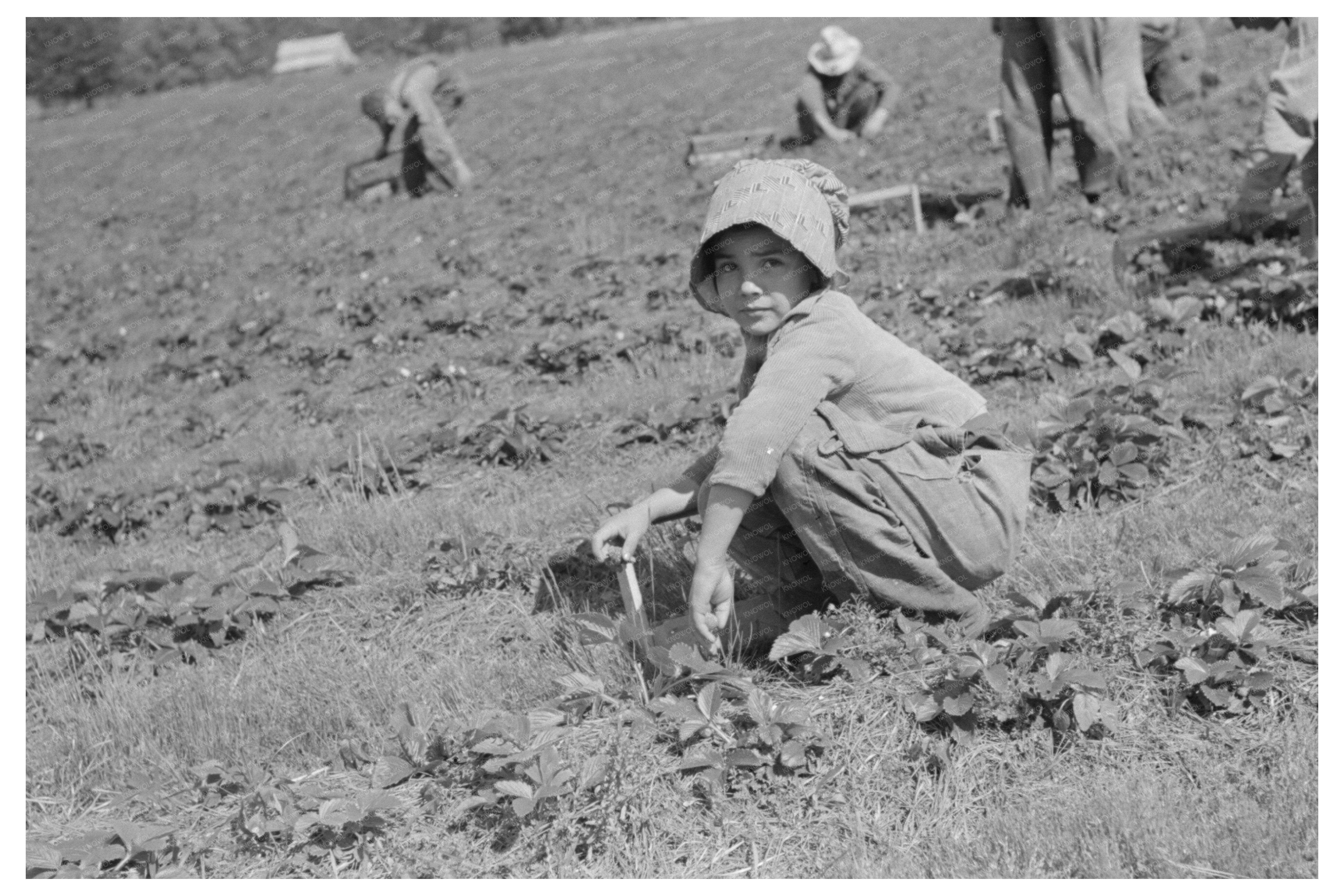 Child of Migrant Strawberry Picker Hammond Louisiana 1939