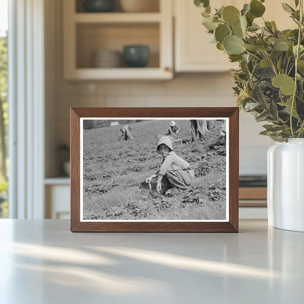 Child of Migrant Strawberry Picker Hammond Louisiana 1939