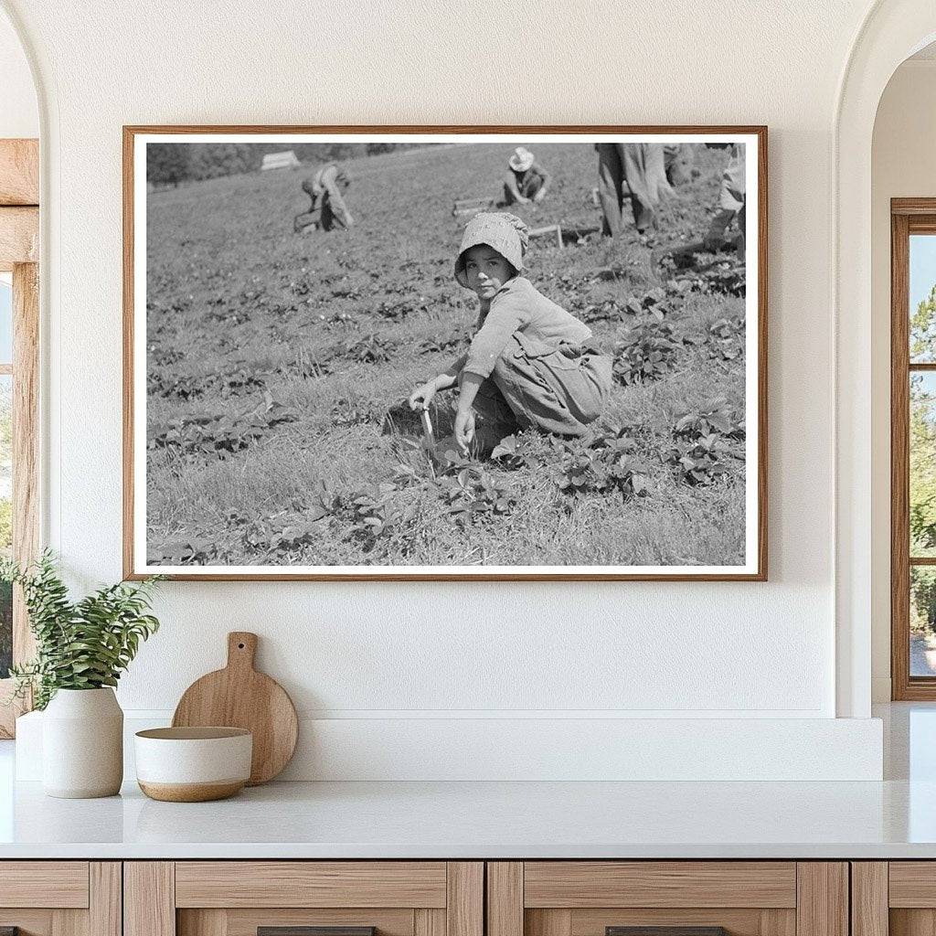 Child of Migrant Strawberry Picker Hammond Louisiana 1939