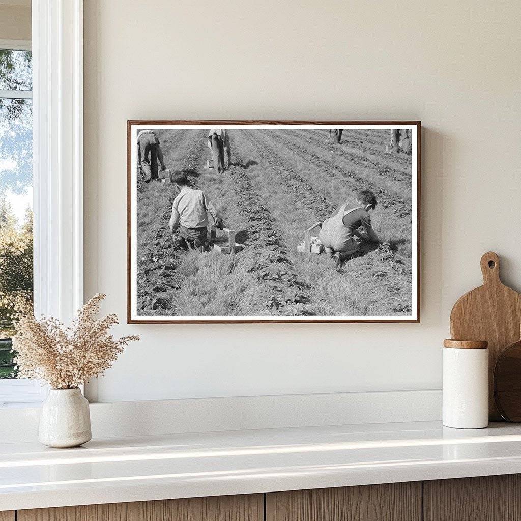 Migrant Children Picking Strawberries Louisiana 1939