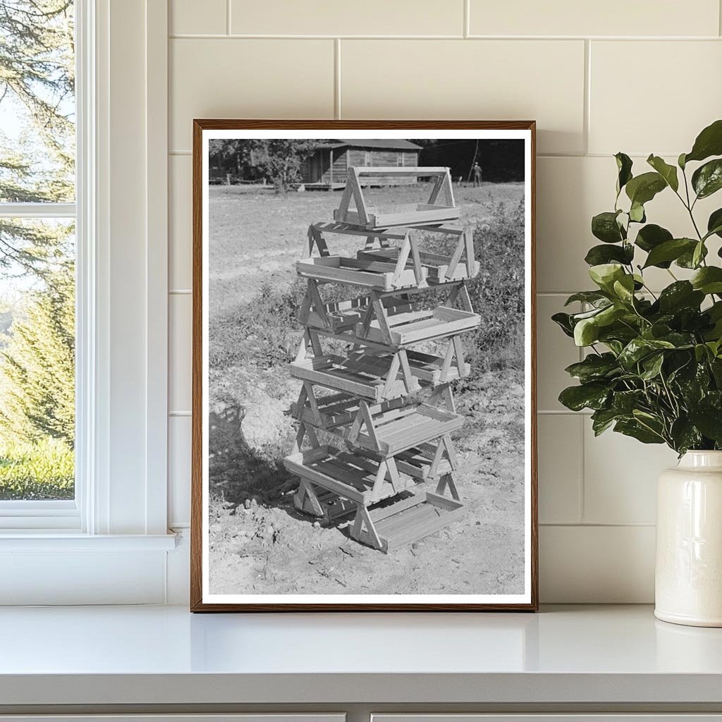 Strawberry Pickers in Ponchatoula Louisiana April 1939