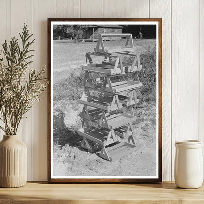 Strawberry Pickers in Ponchatoula Louisiana April 1939