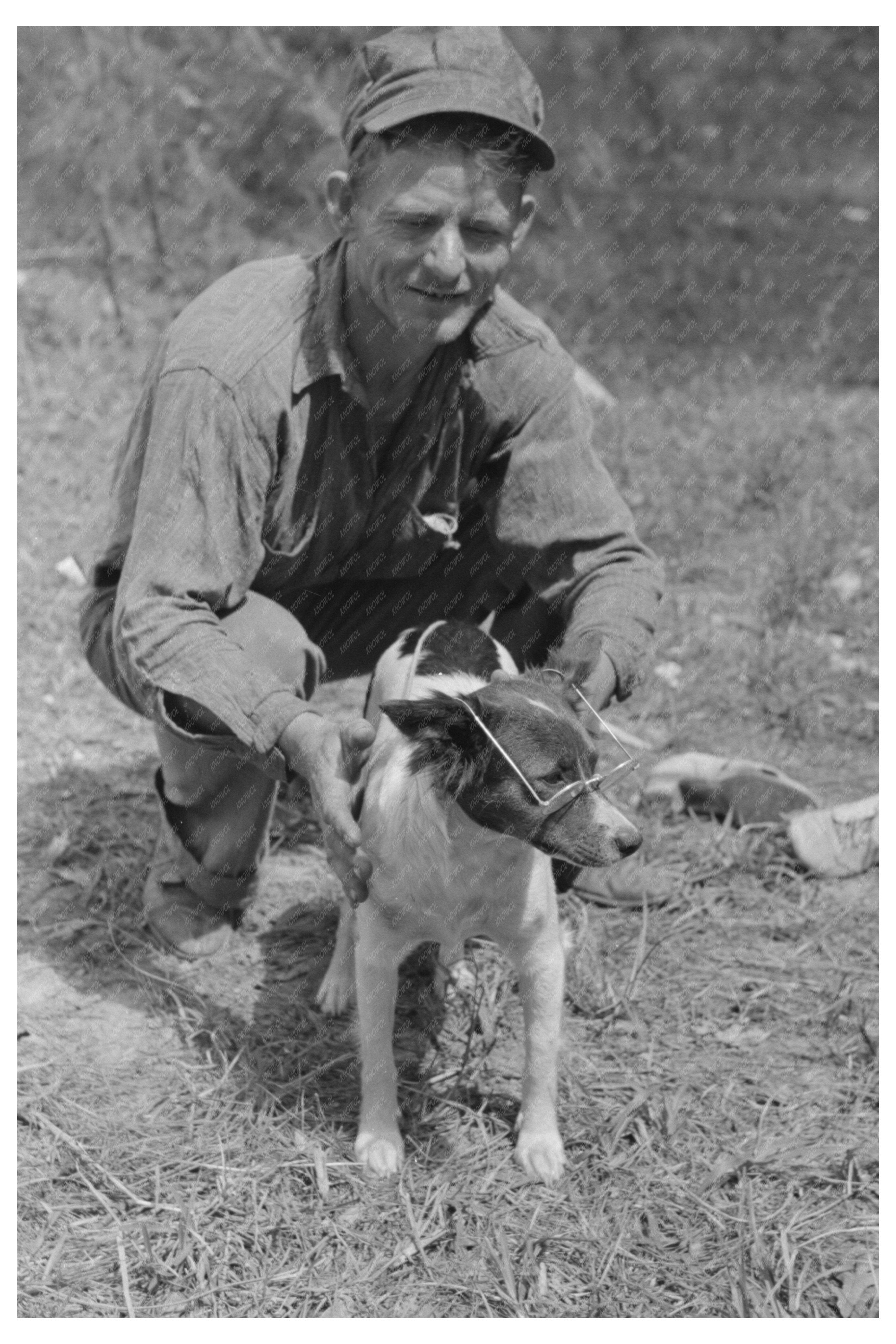 Vintage 1939 Photo of Strawberry Pickers in Hammond Louisiana