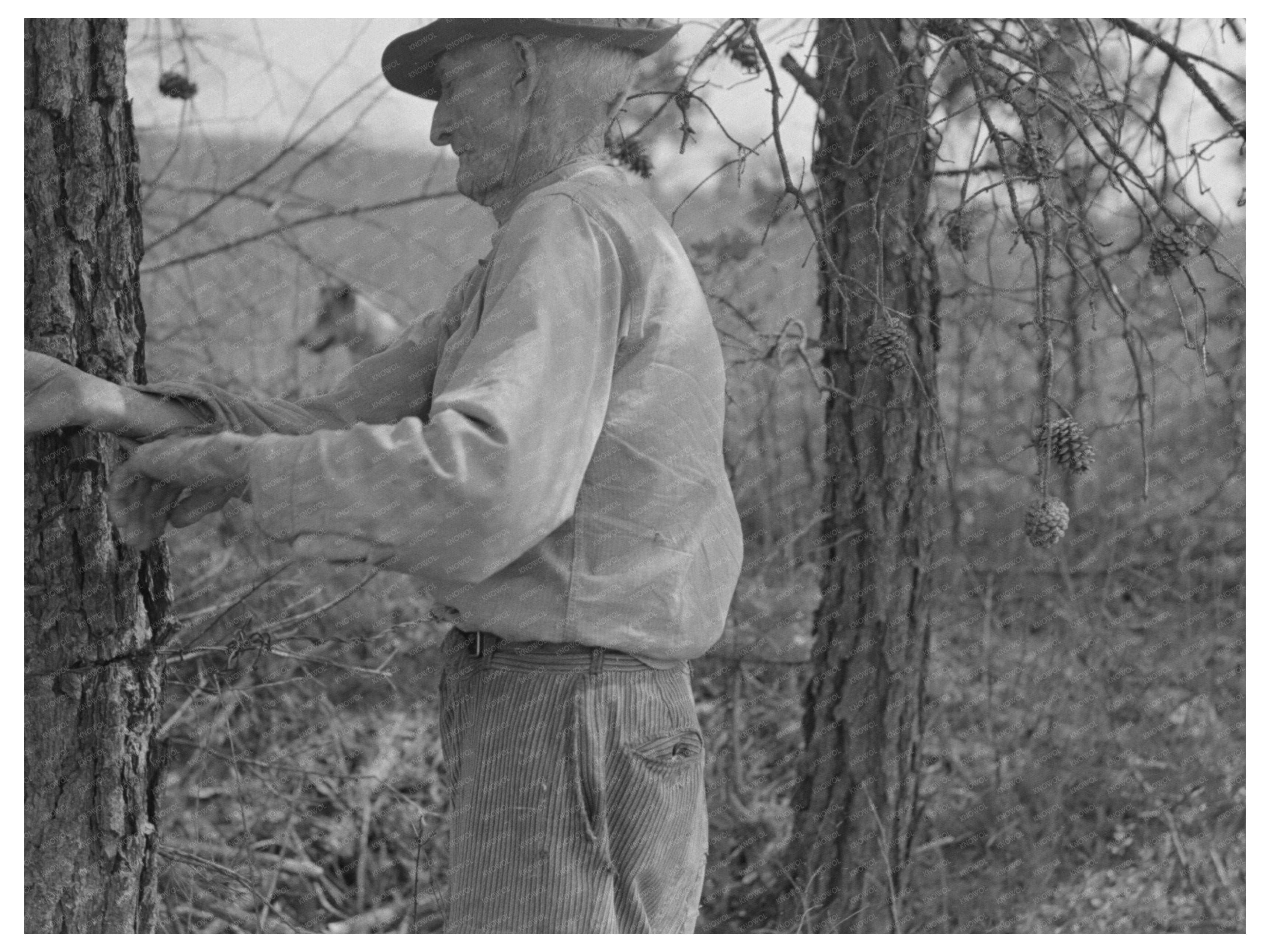 East Texas Farm Owner Rolling Barbed Wire 1939