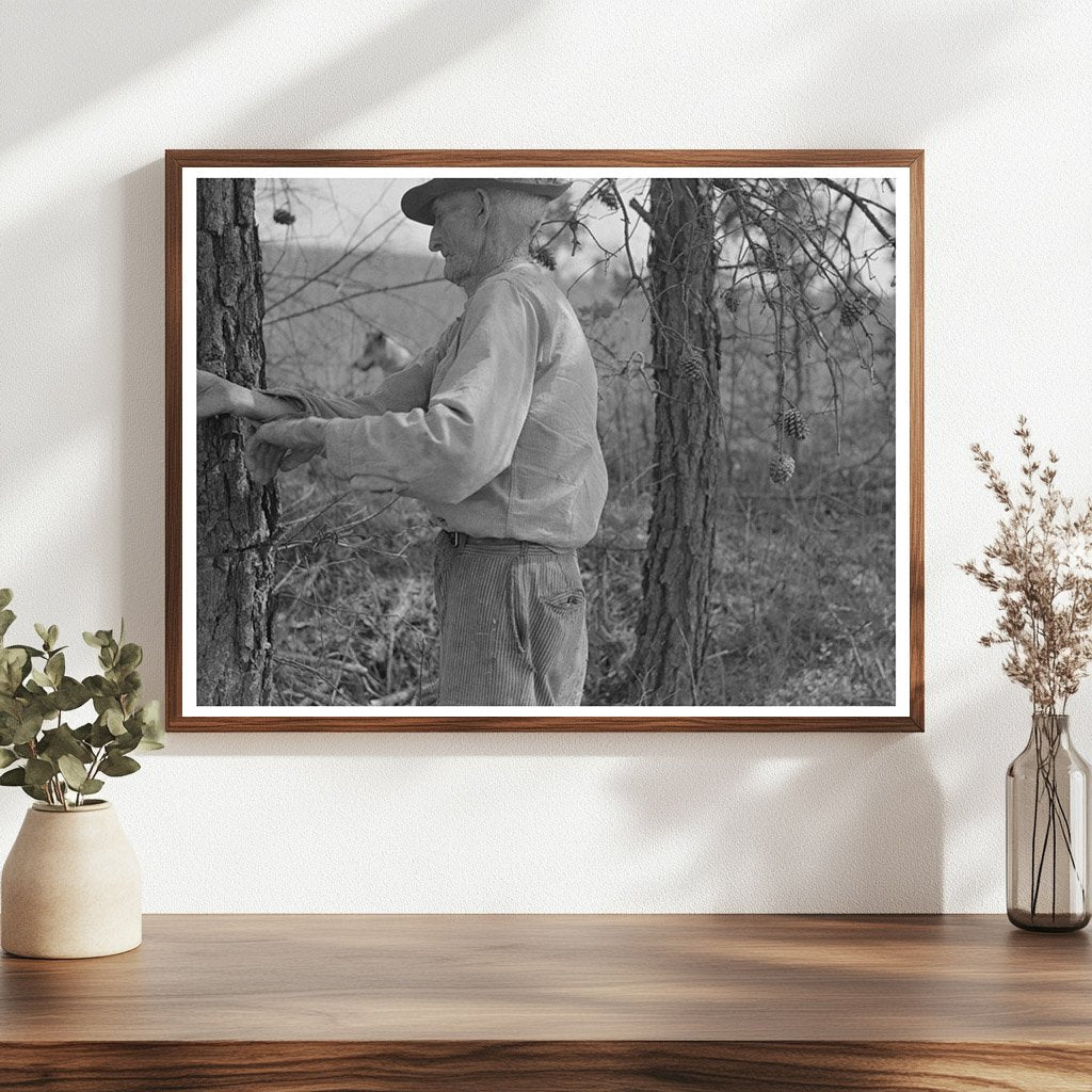 East Texas Farm Owner Rolling Barbed Wire 1939