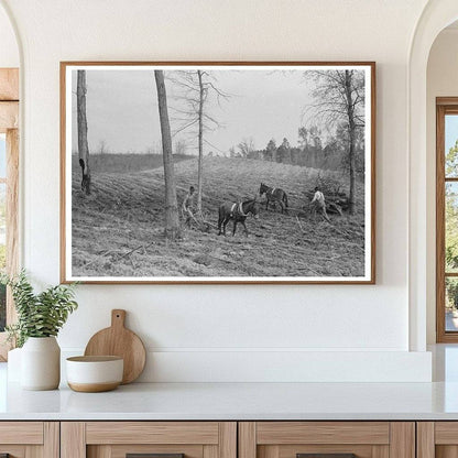 Spring Plowing in Harleton Texas April 1939