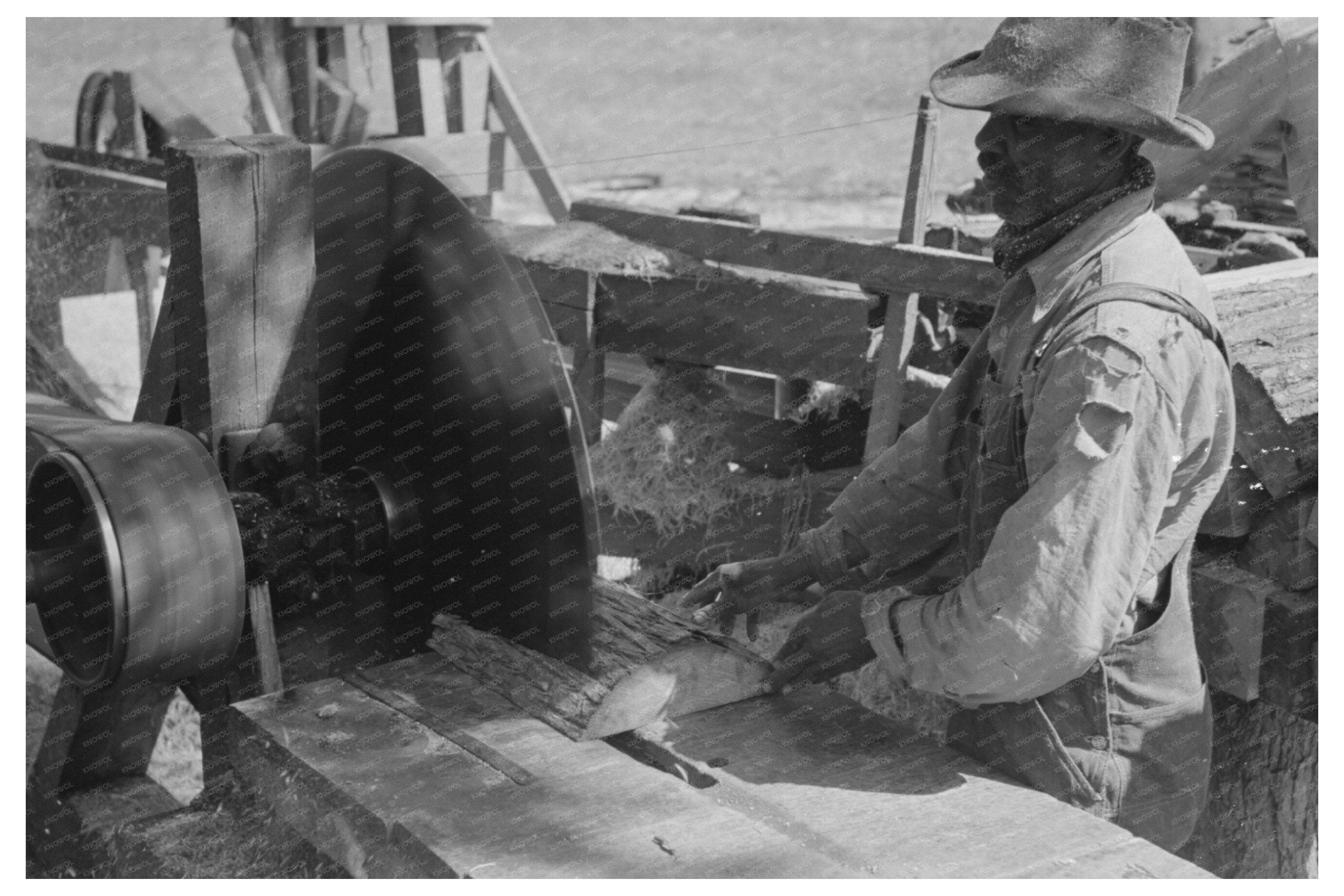 Lumber Workers Sawing Pine Blocks Jefferson Texas 1939