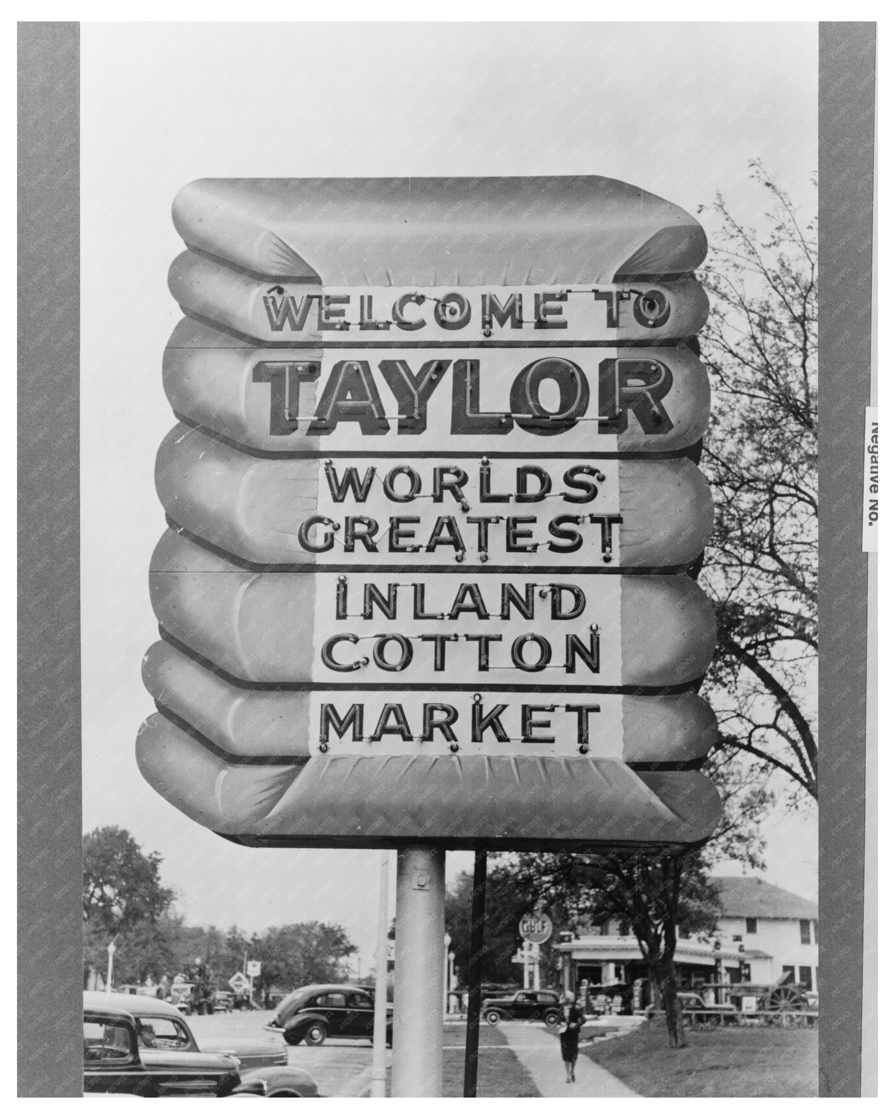 Cotton Scene in Taylor Texas April 1939