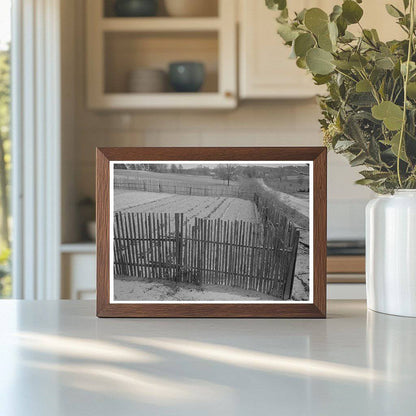 Garden Enclosed by Picket Fence Marshall Texas April 1939