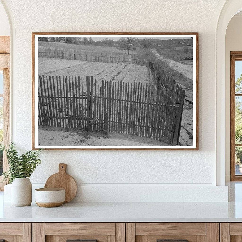 Garden Enclosed by Picket Fence Marshall Texas April 1939