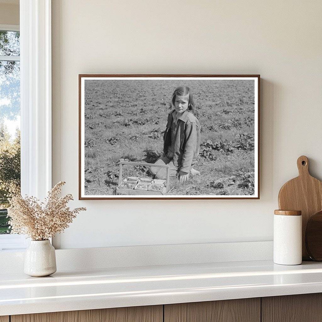 Child Picking Strawberries in Louisiana 1939