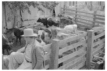 Cattle Pens and Farmers at San Augustine Auction Yard 1939