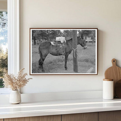 Saddle Horses with Supplies in San Augustine Texas April 1939