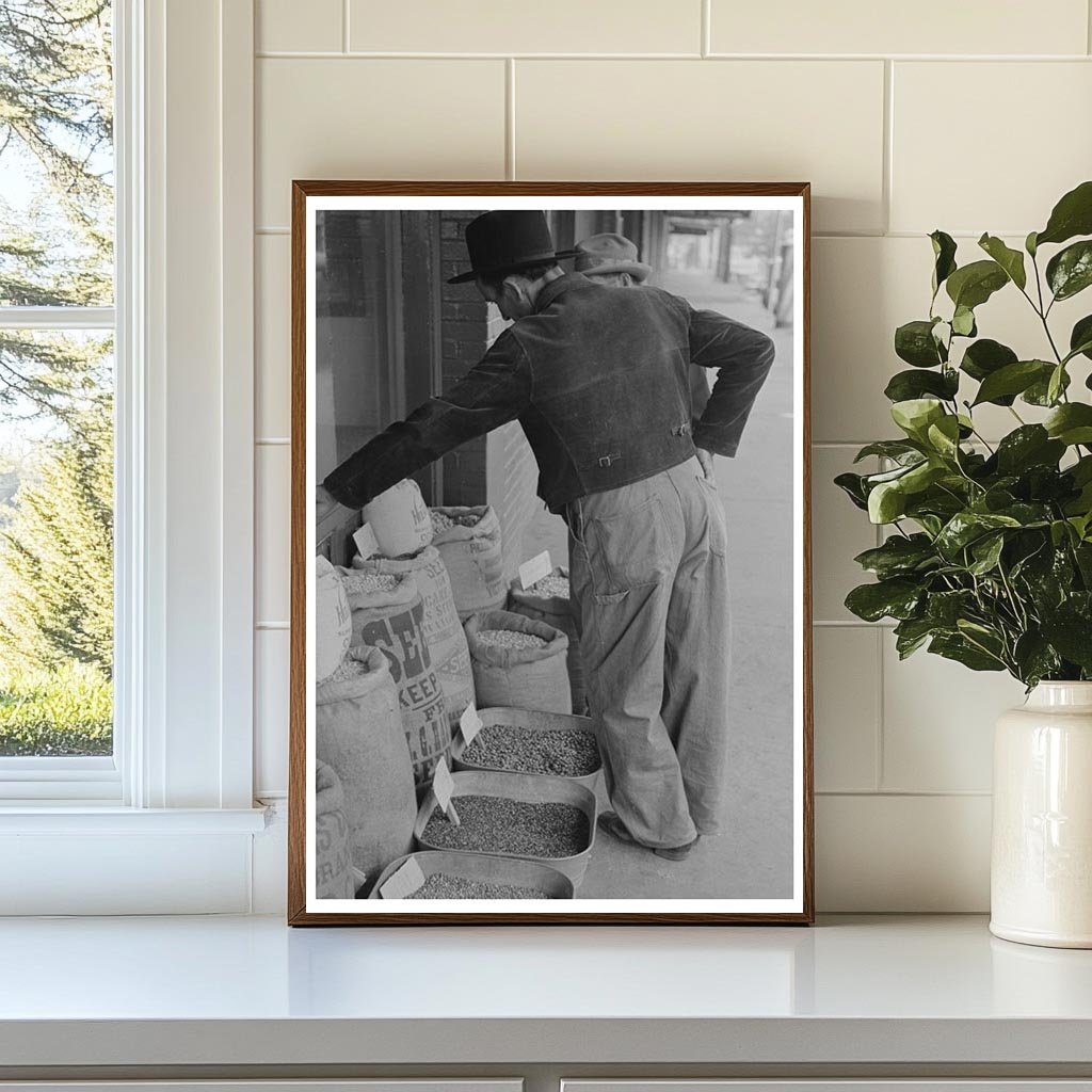 Farmer Inspects Seed for Sale San Augustine Texas 1939