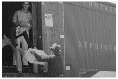 Strawberry Loading in Refrigerator Car Hammond Louisiana 1939