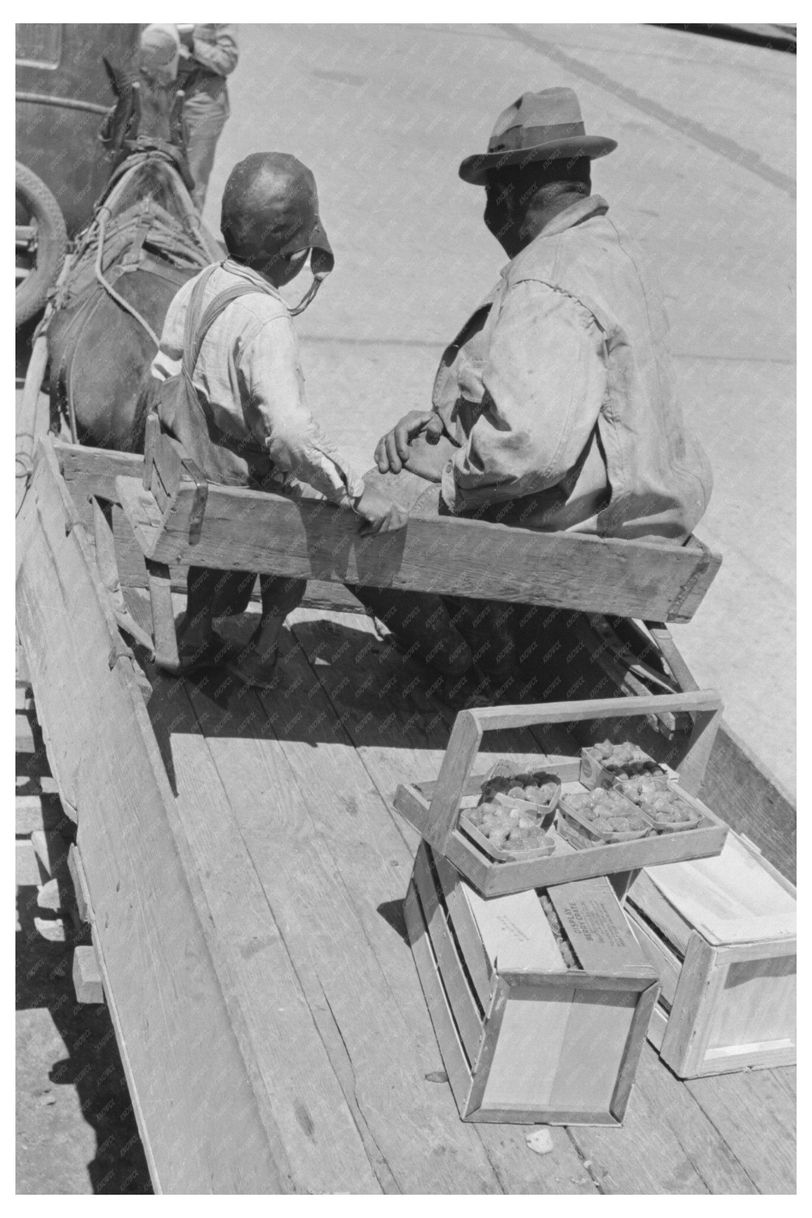 Strawberry Grower at Loading Station Hammond Louisiana 1939