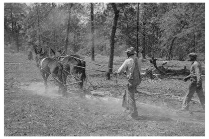 Log Snaking Operations at Sabine Farms Marshall Texas 1939