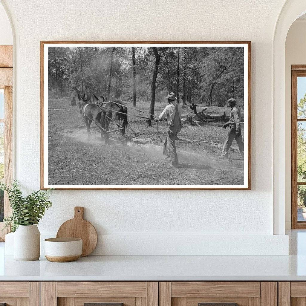 Log Snaking Operations at Sabine Farms Marshall Texas 1939