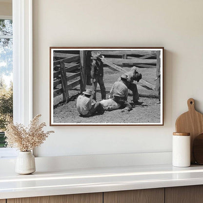 Cattle Branding at Walking X Ranch Marfa Texas 1939