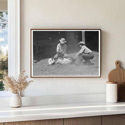 Ranch Scene in Marfa Texas May 1939 Calf Throwing