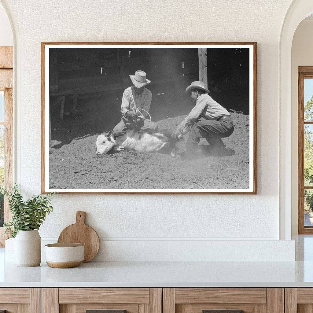 Ranch Scene in Marfa Texas May 1939 Calf Throwing