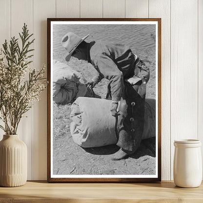 Cowboy Tying Bedroll at Walking X Ranch May 1939