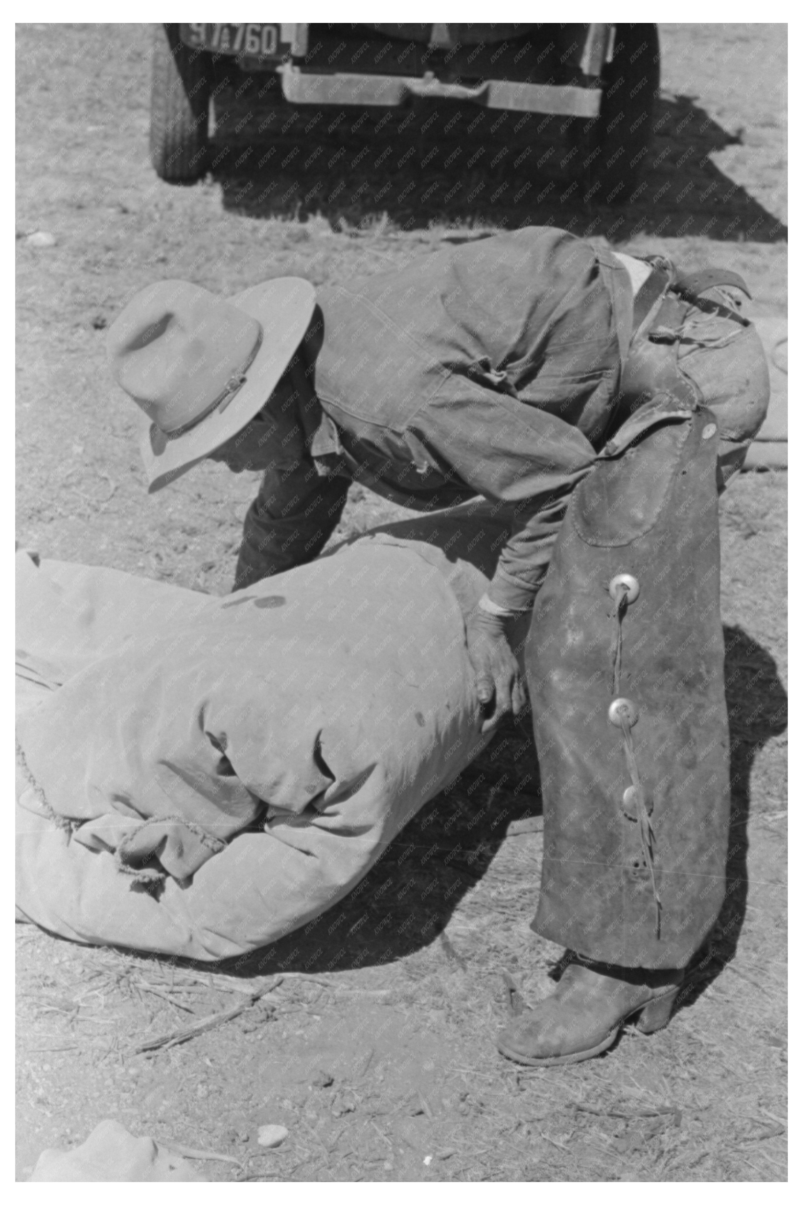 Cowboy Bunk at Cattle Ranch Marfa Texas 1939